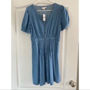 NWT Böhme Denim Dress